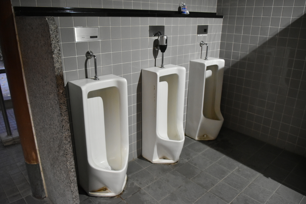 f:id:NEKOPPY:20201125102419j:plain