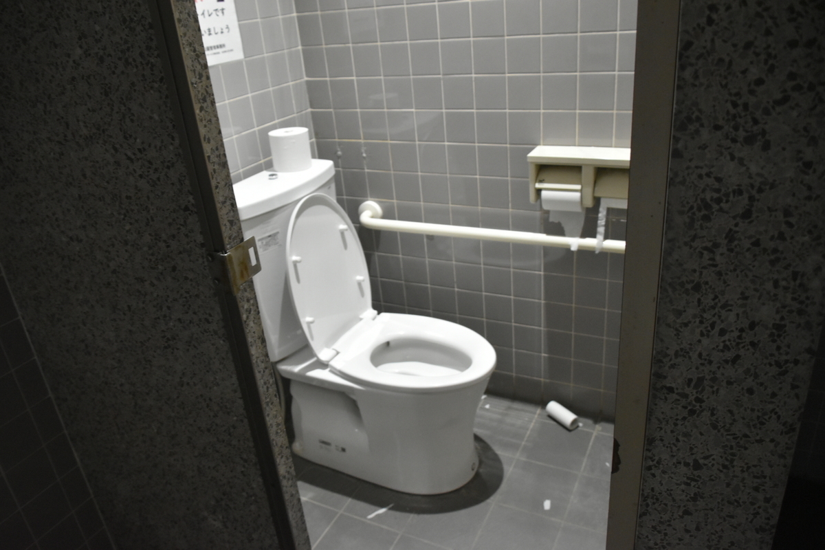 f:id:NEKOPPY:20201125102424j:plain