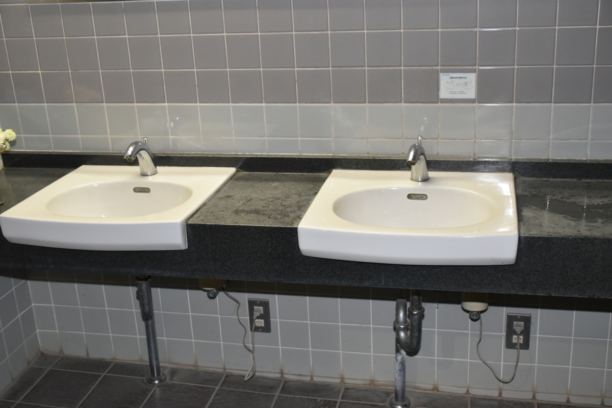 f:id:NEKOPPY:20201125102432j:plain