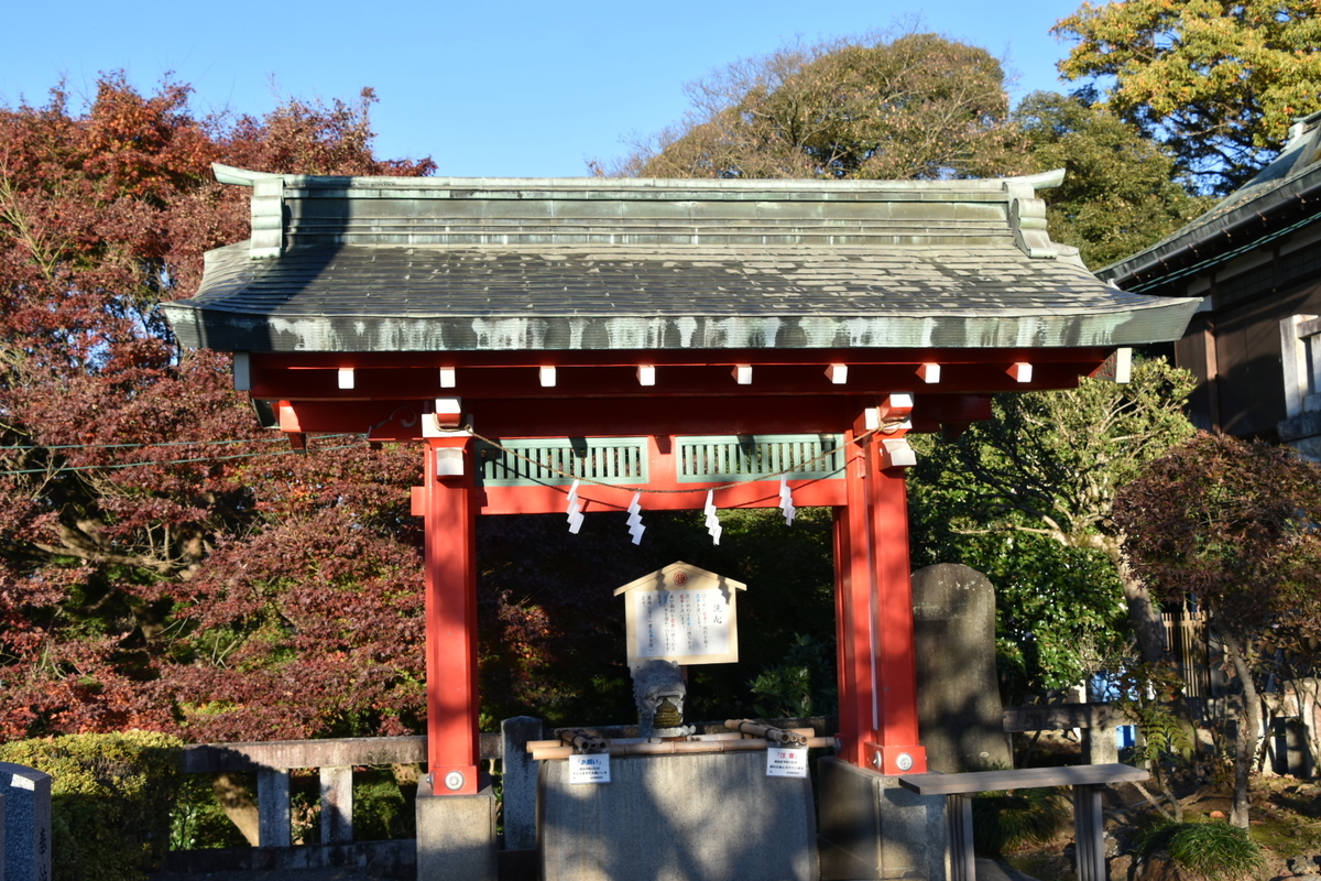 f:id:NEKOPPY:20201206142056j:plain