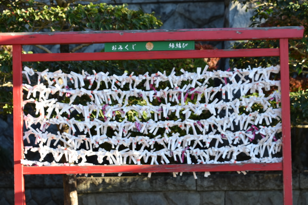 f:id:NEKOPPY:20201206142134j:plain