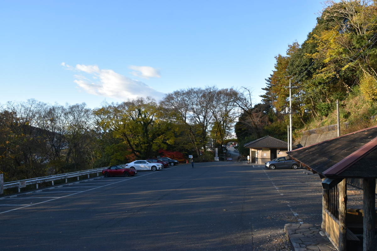 f:id:NEKOPPY:20201206142157j:plain