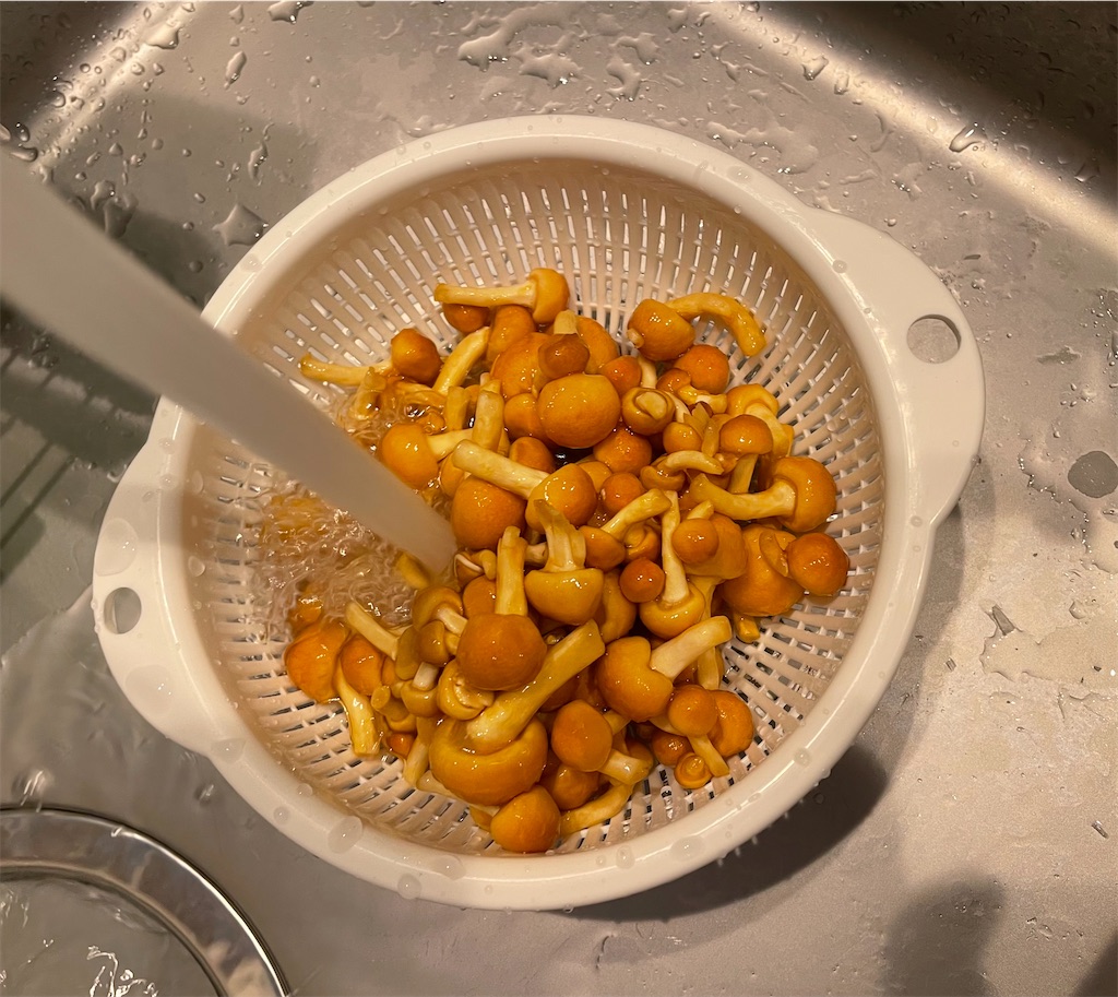 f:id:NEOSNAPPY:20220501155149j:image f:id:NEOSNAPPY:20220501155149j:image