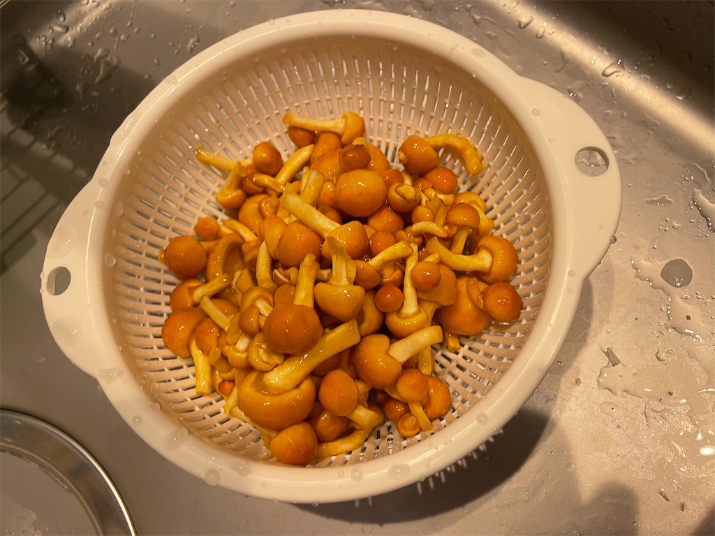 f:id:NEOSNAPPY:20220501155153j:image f:id:NEOSNAPPY:20220501155153j:image