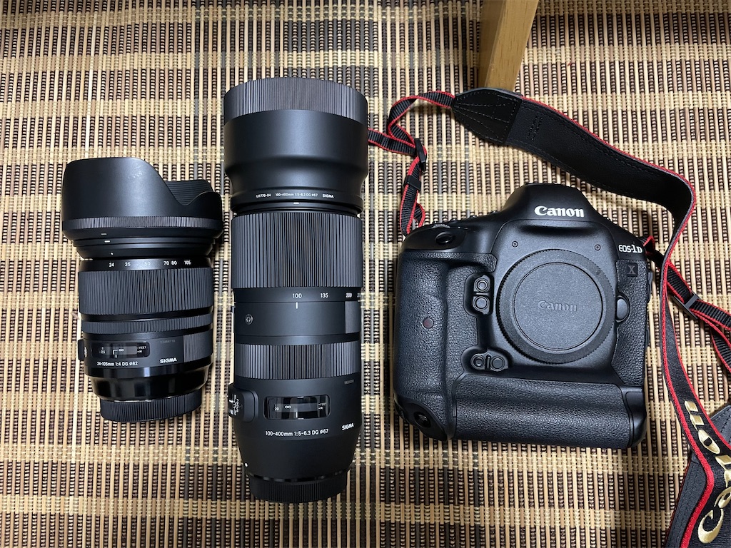 キヤノン EOS 1DX (初代) Canon CANON EOS-1D X ボディ 価格比較 - 価格.com
