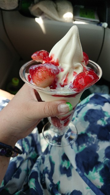 f:id:NF1339:20190615235352j:image f:id:NF1339:20190615235352j:image