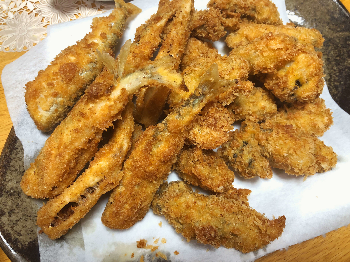 初めてのワカサギ釣り ニゴリ丸の釣り日誌