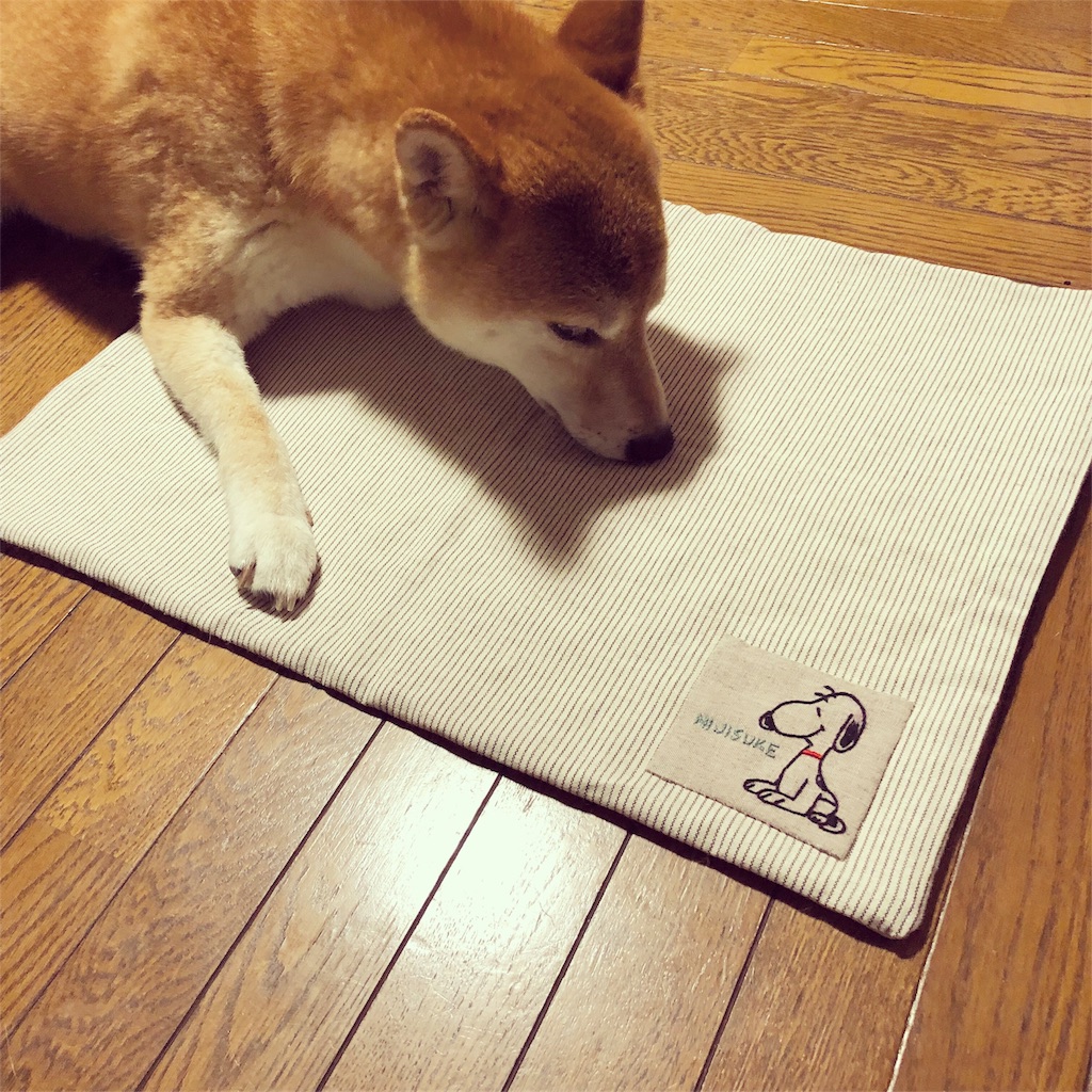 f:id:NIJISUKE:20190619213032j:image f:id:NIJISUKE:20190619213032j:image