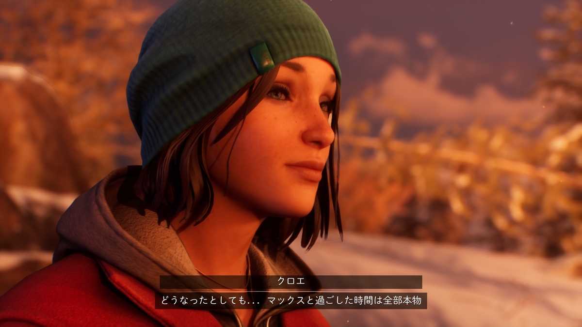 『ライフ イズ ストレンジ ダブルエクスポージャー』