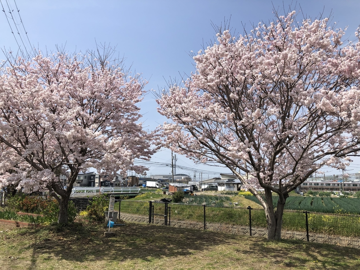 f:id:NK700108:20220409152642j:plain