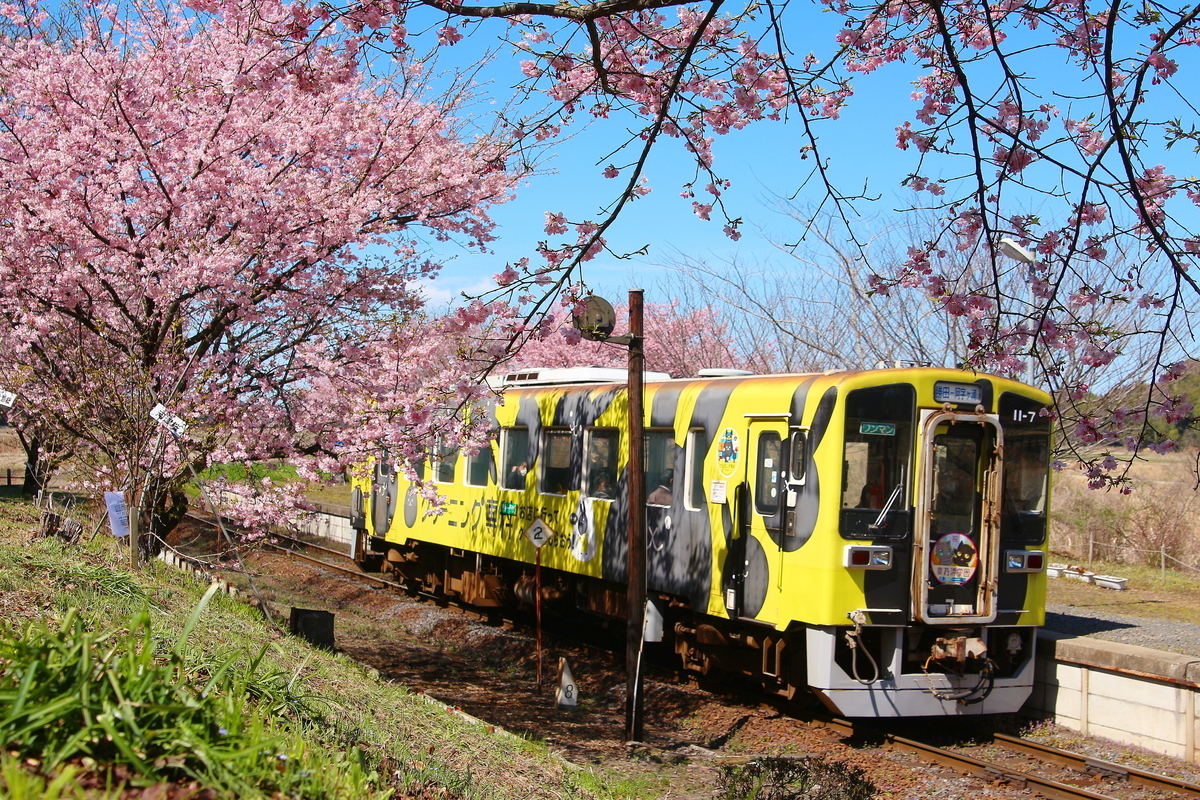 f:id:NM_BlueRapid:20210401181441j:plain