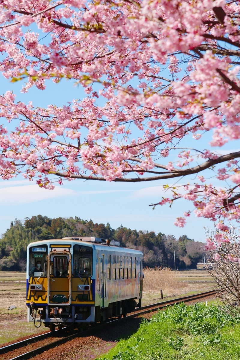 f:id:NM_BlueRapid:20210401181817j:plain