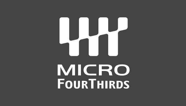 f:id:NM_BlueRapid:20210619202954p:plain