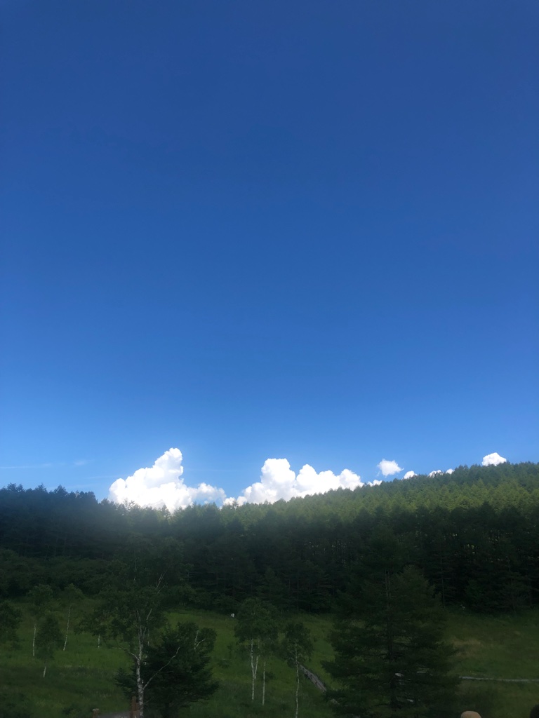 入笠山のお花畑