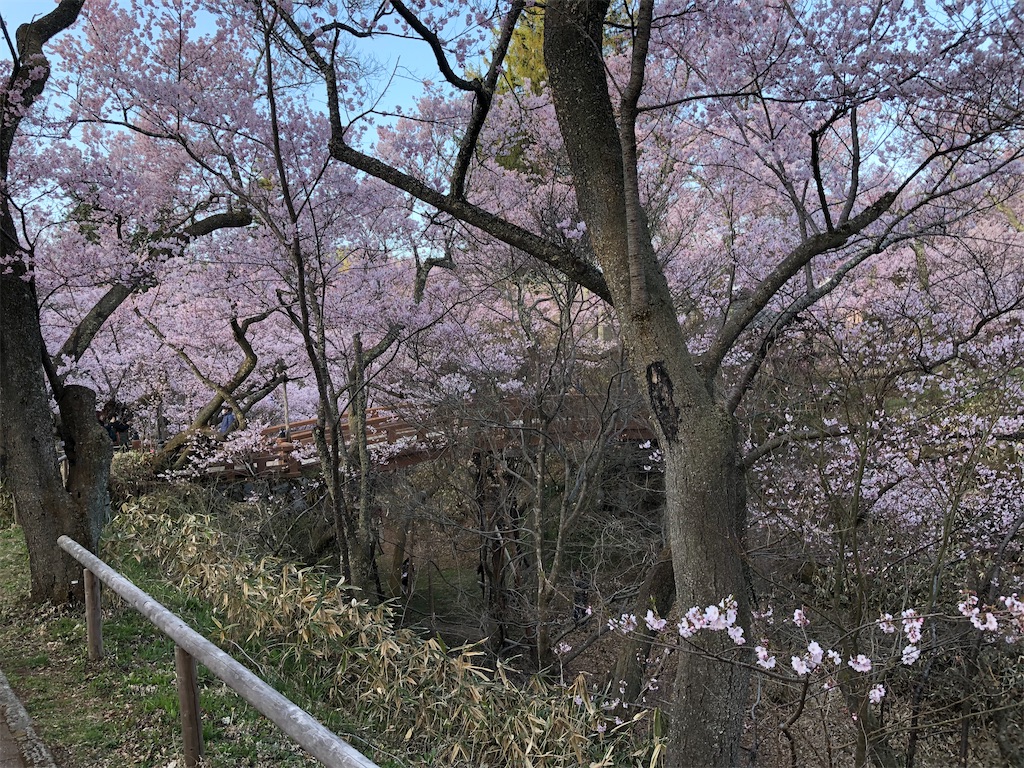 f:id:NO-8:20220411154251j:plain