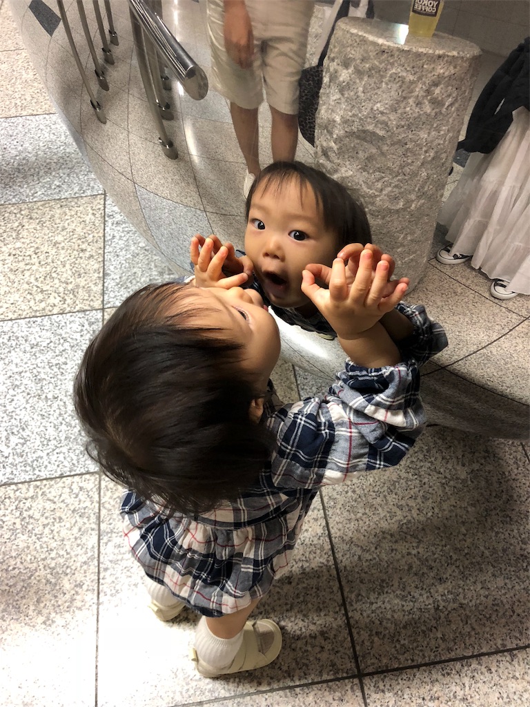 f:id:NOBUlog:20180818220946j:plain f:id:NOBUlog:20180818220946j:plain