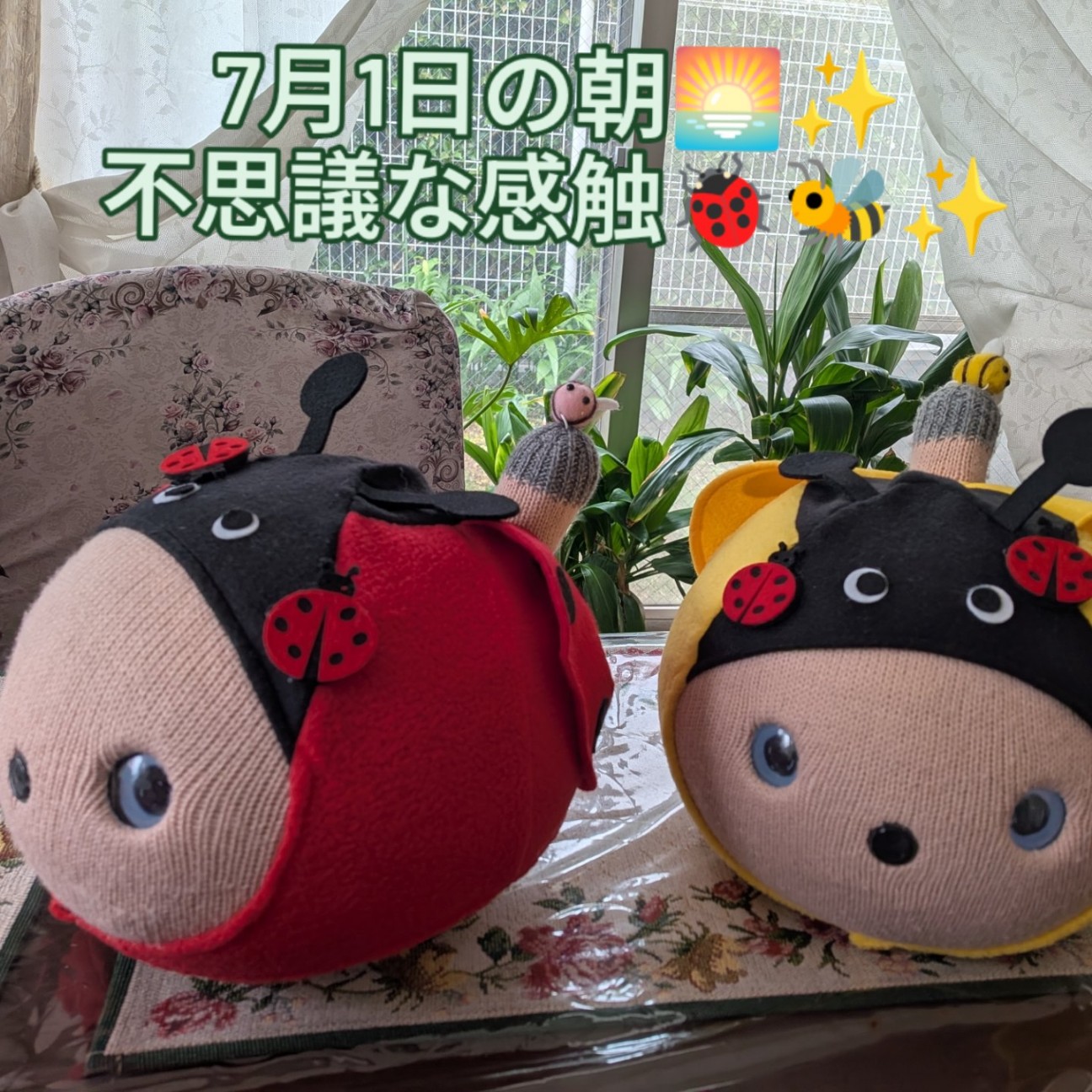 f:id:NOKO_0329:20260703004416j:image