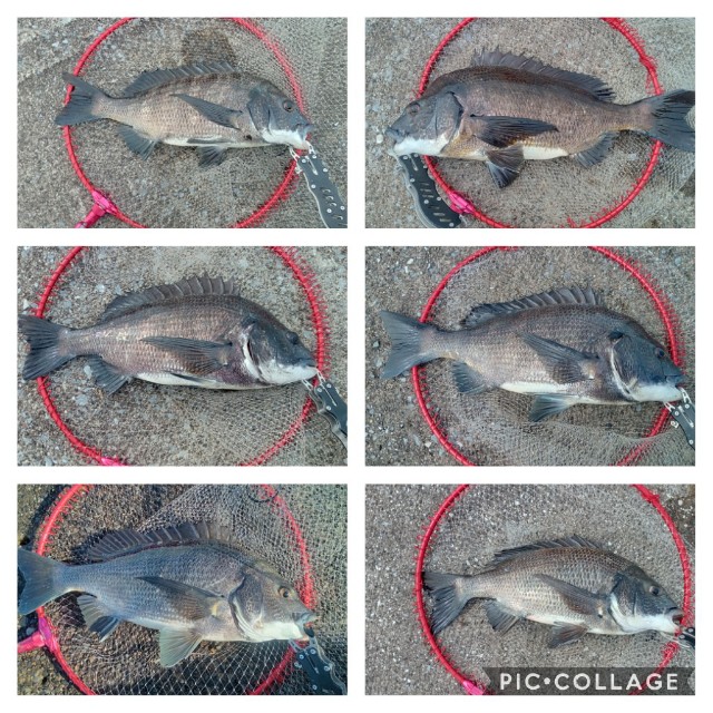 f:id:NONAL:20210823010730j:image f:id:NONAL:20210823010730j:image