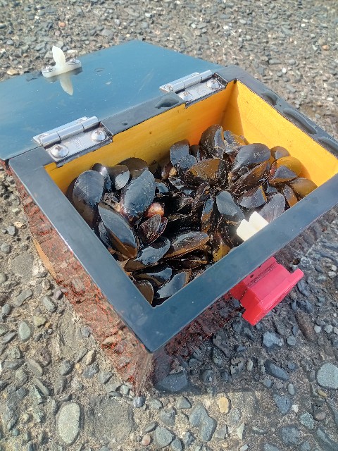 f:id:NONAL:20210823011303j:image f:id:NONAL:20210823011303j:image