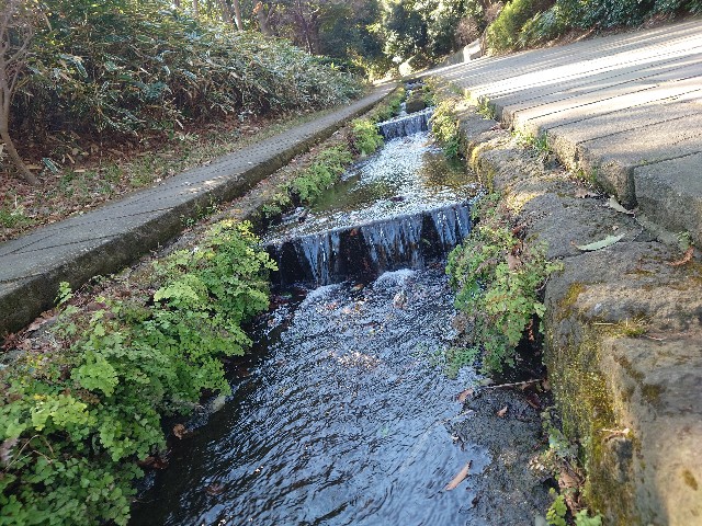 f:id:NONAL:20230129154107j:image