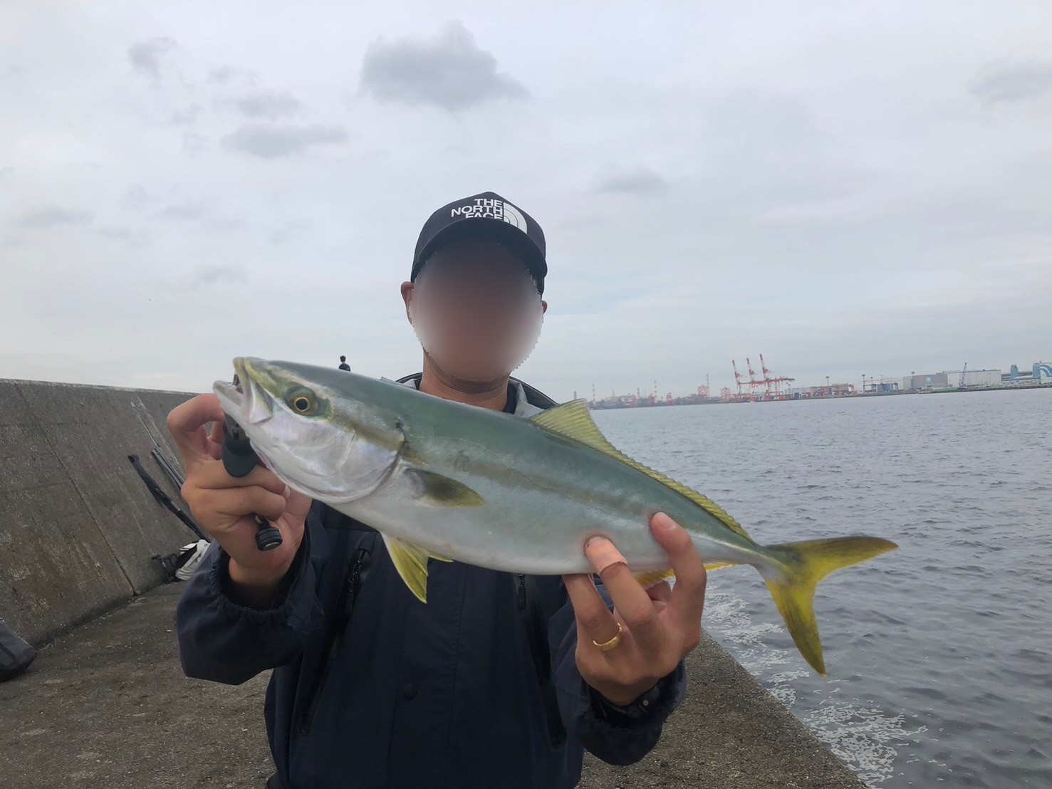 f:id:NONAL:20241001124411j:image