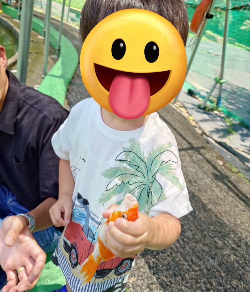 f:id:NONAL:20250629060835j:image