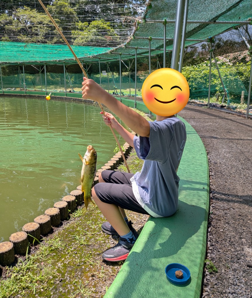 f:id:NONAL:20250629060856j:image