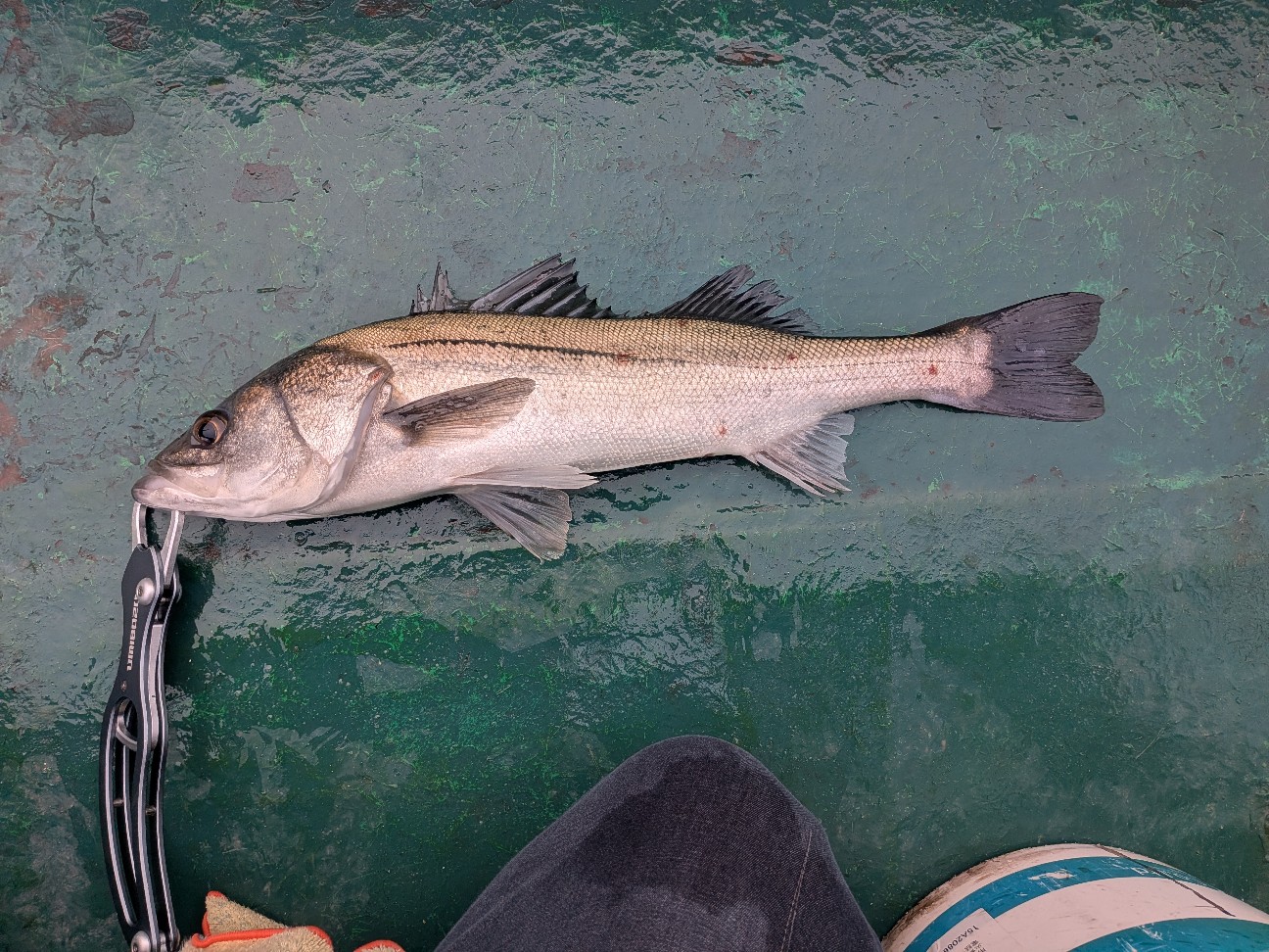 f:id:NONAL:20251214223437j:image f:id:NONAL:20251214223437j:image