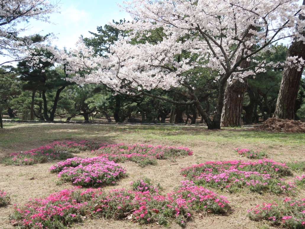 f:id:NONKIE:20190409151125j:plain f:id:NONKIE:20190409151125j:plain
