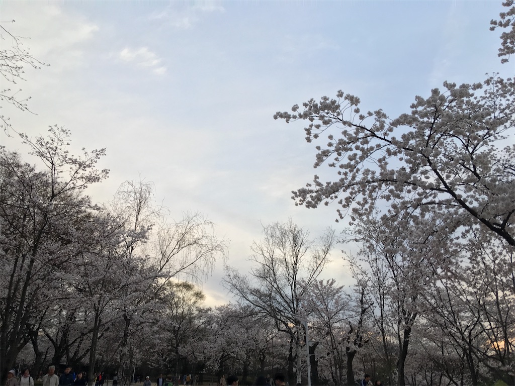 f:id:NORIMONOTENGOK:20190610235016j:image f:id:NORIMONOTENGOK:20190610235016j:image