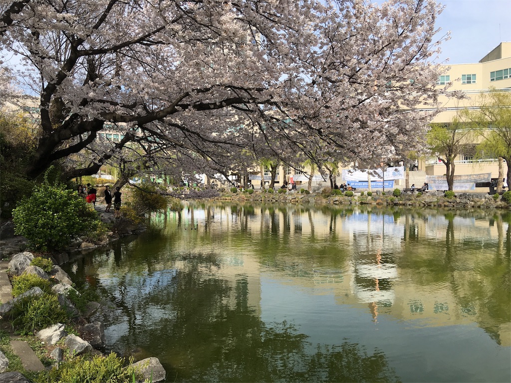 f:id:NORIMONOTENGOK:20190610235035j:image f:id:NORIMONOTENGOK:20190610235035j:image