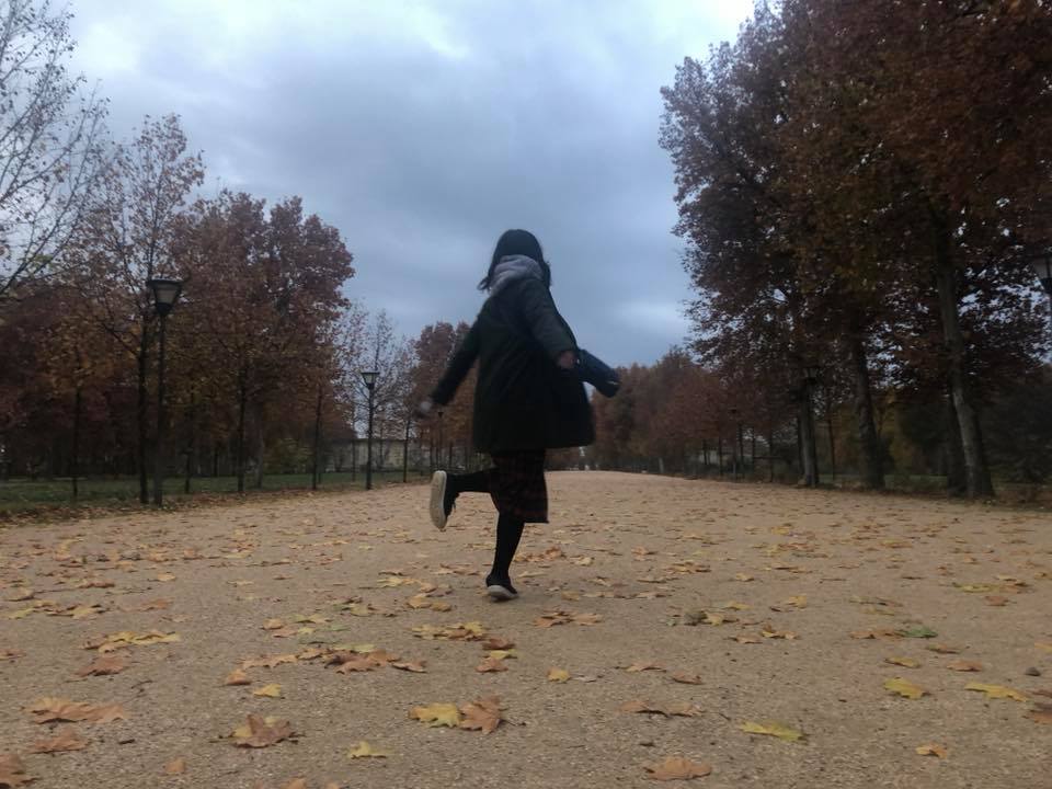f:id:NORTE:20181127053511j:plain f:id:NORTE:20181127053511j:plain