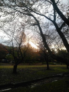 f:id:NOV:20141103162717j:image
