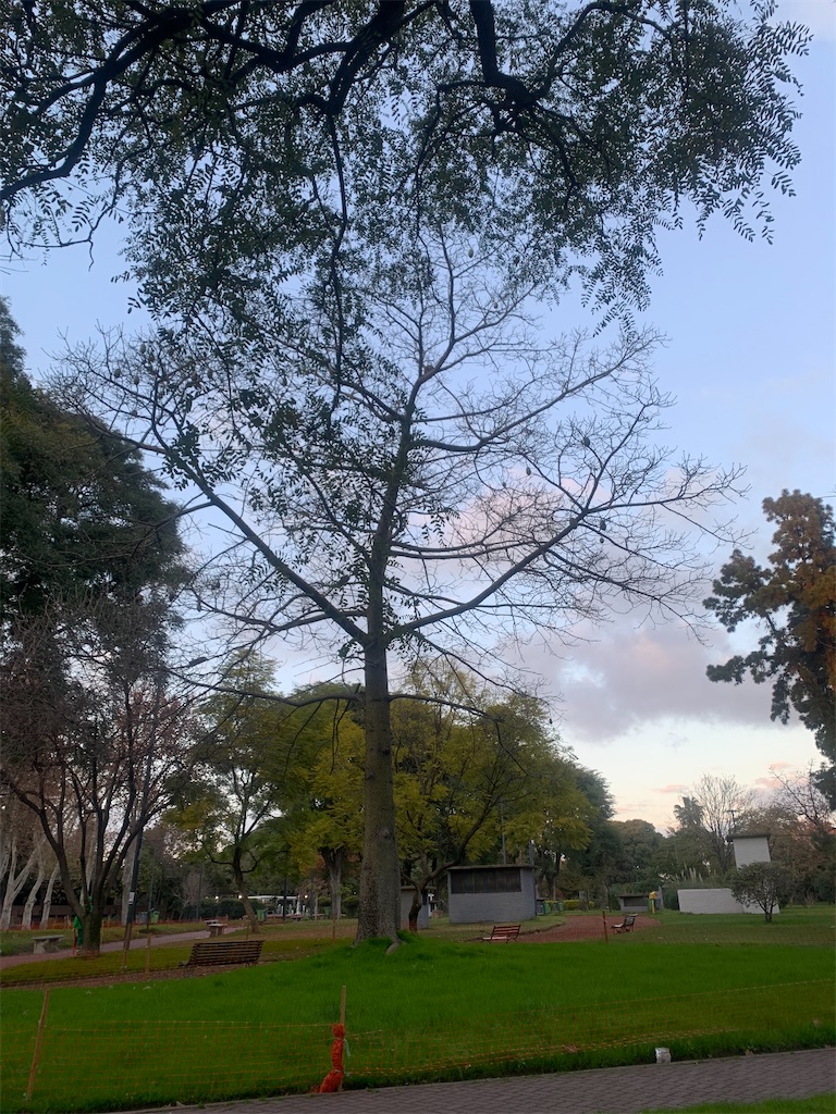 f:id:NOV2008:20230806011356j:image