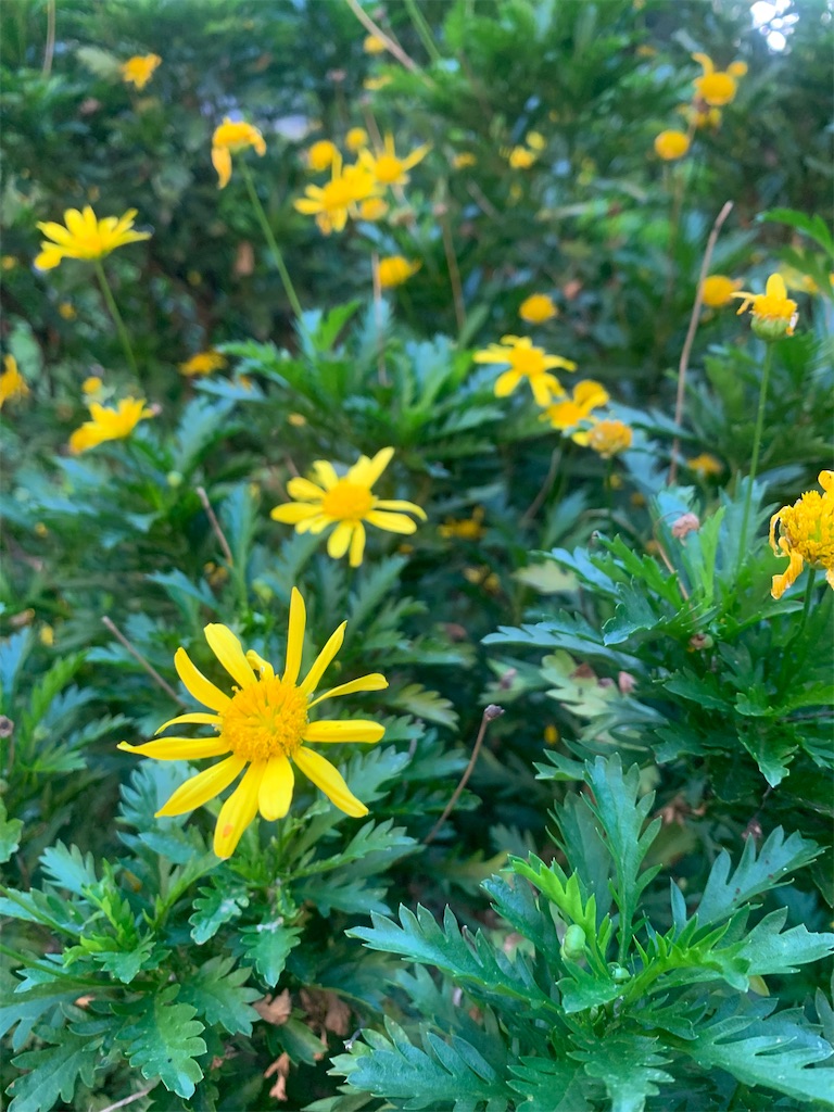 f:id:NOV2008:20240512054835j:image