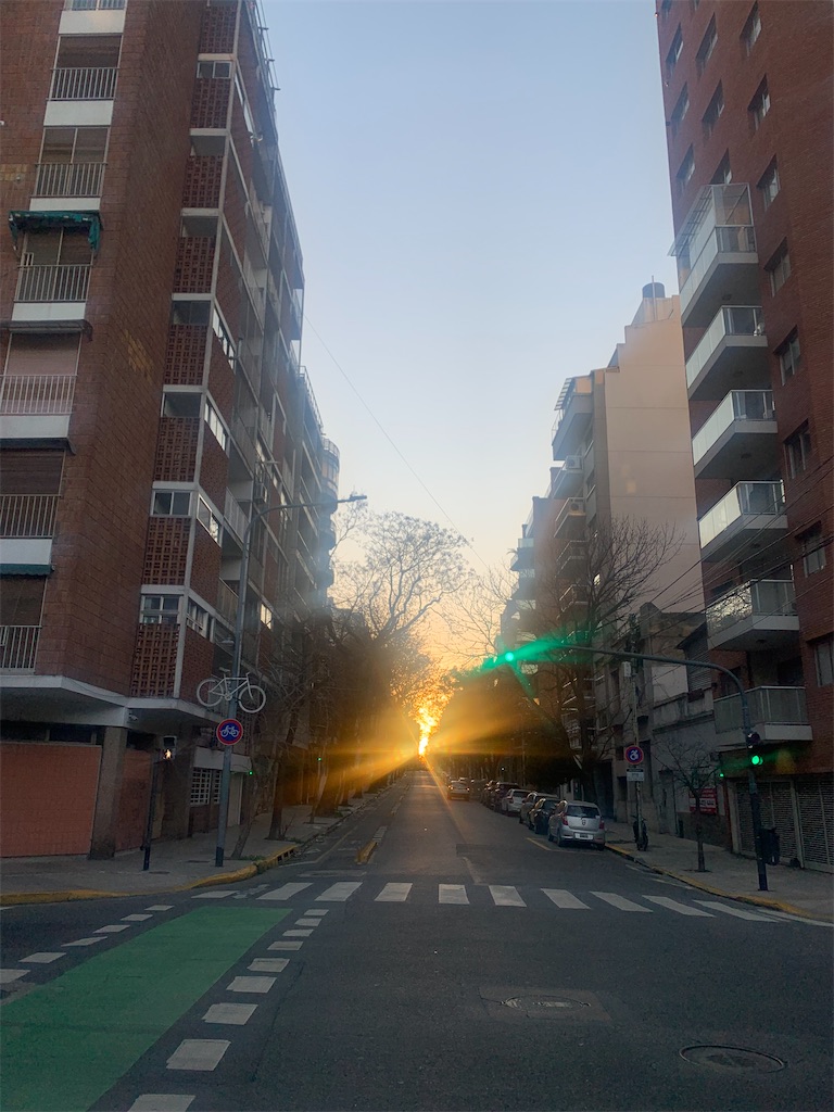 f:id:NOV2008:20251019233314j:image f:id:NOV2008:20251019233314j:image