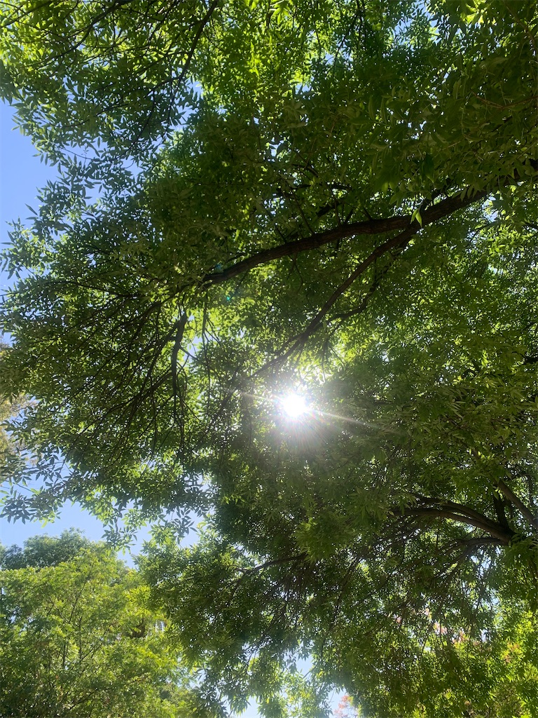 f:id:NOV2008:20251215100138j:image