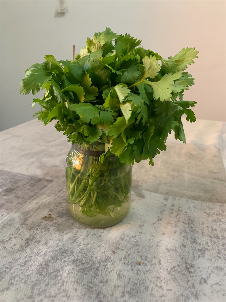 f:id:NOV2008:20251221105315j:image f:id:NOV2008:20251221105315j:image