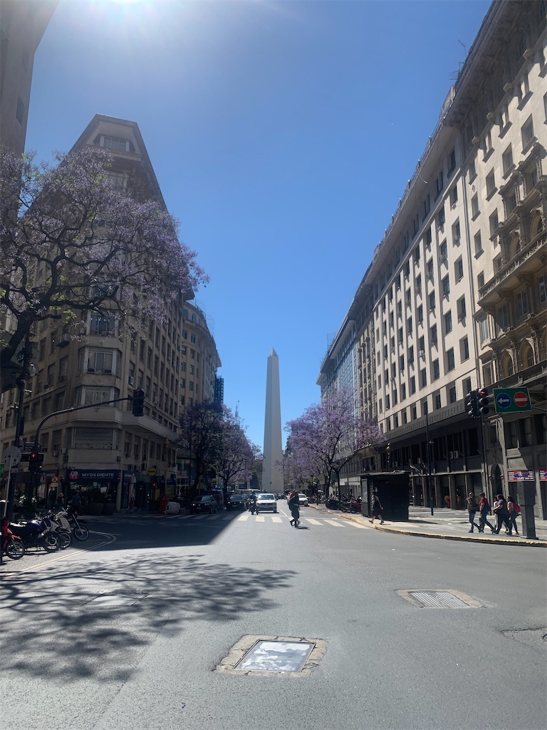 f:id:NOV2008:20251221105321j:image f:id:NOV2008:20251221105321j:image