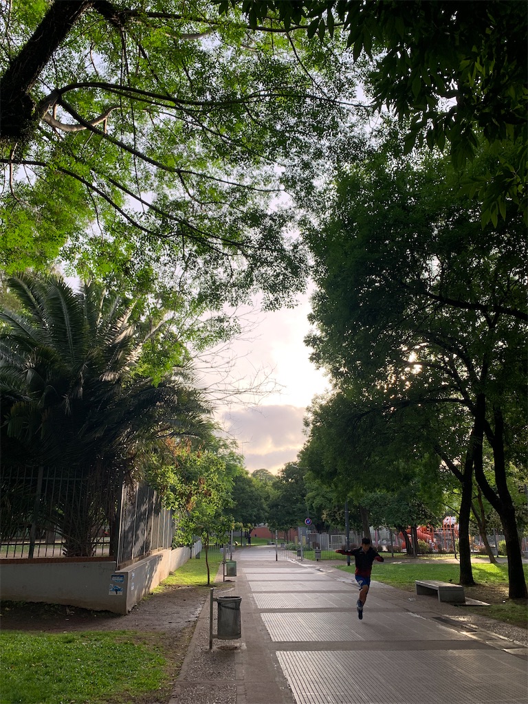 f:id:NOV2008:20260119052423j:image f:id:NOV2008:20260119052423j:image