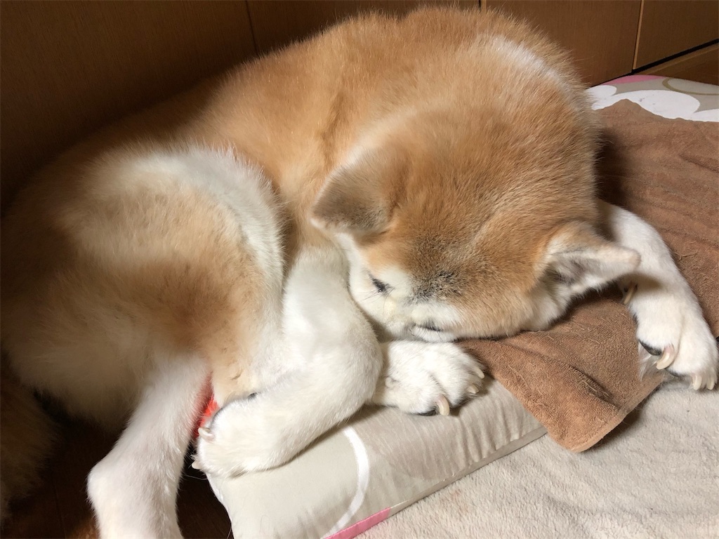 f:id:NOZAkiyo:20200405082800j:image
