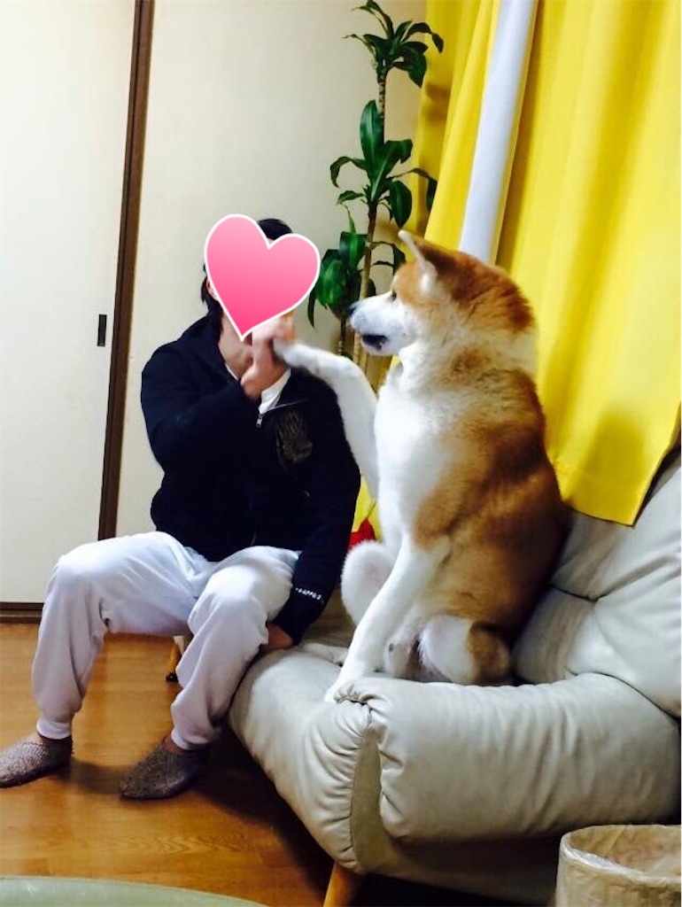 f:id:NOZAkiyo:20200405083950j:image