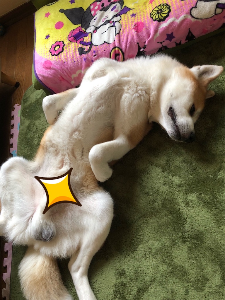 f:id:NOZAkiyo:20200409112420j:image