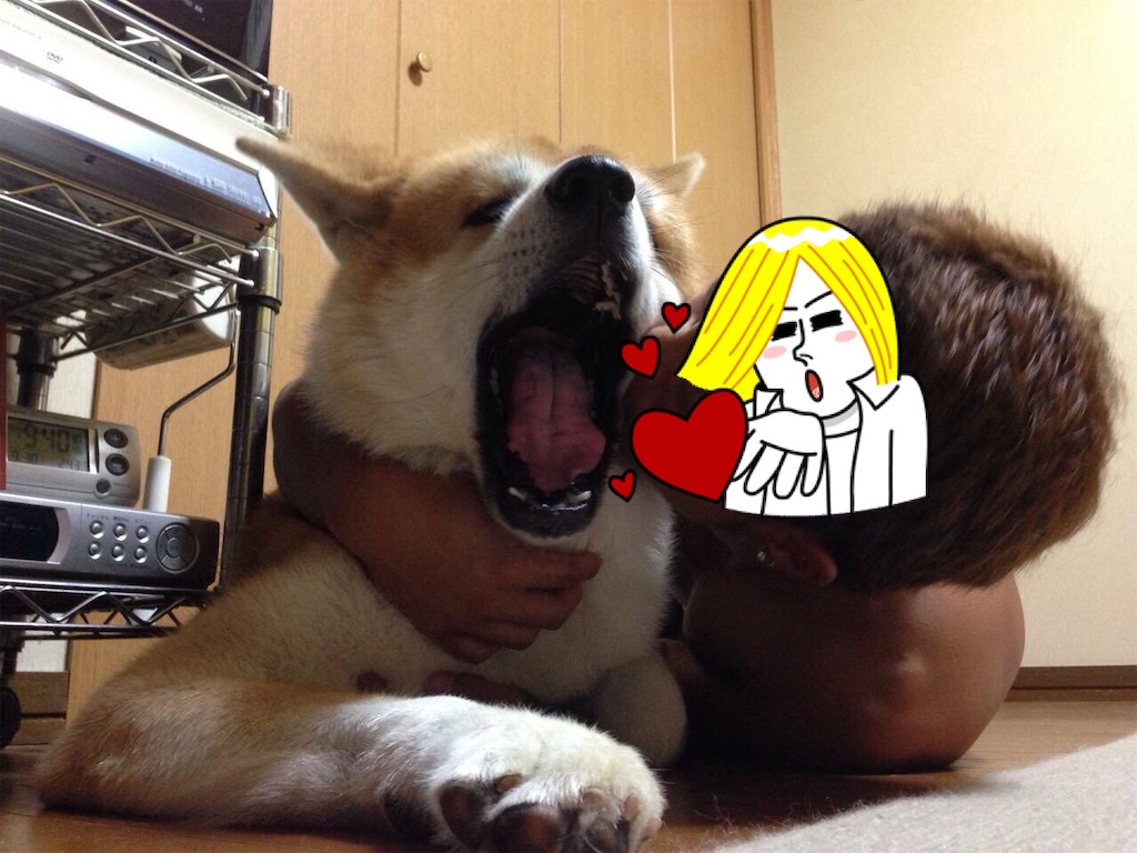f:id:NOZAkiyo:20200409112435j:plain