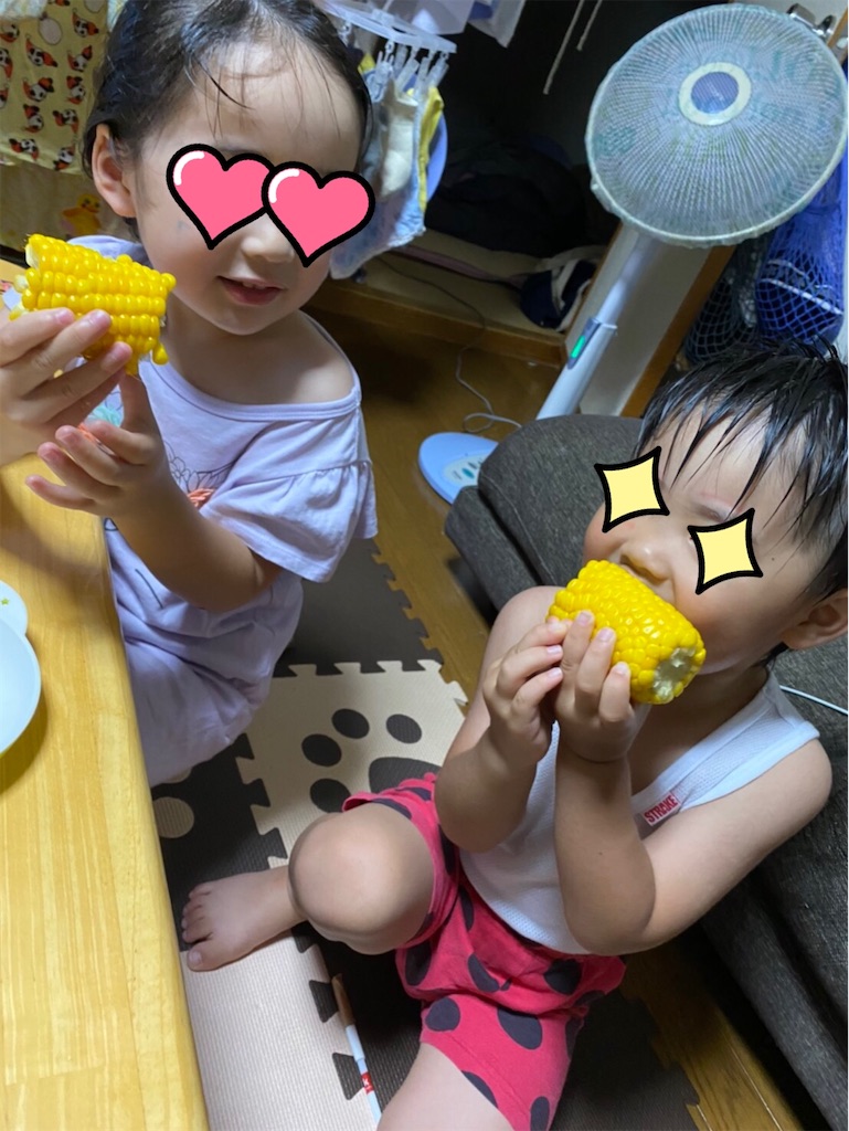 f:id:NOZAkiyo:20200805190910j:image