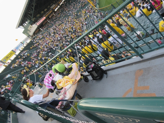 甲子園に行ってきました たびだちスタッフブログ