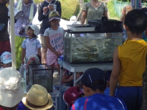 水槽には獲れた魚がいっぱい