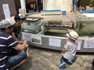 子供目線２