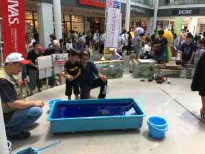 金魚釣り