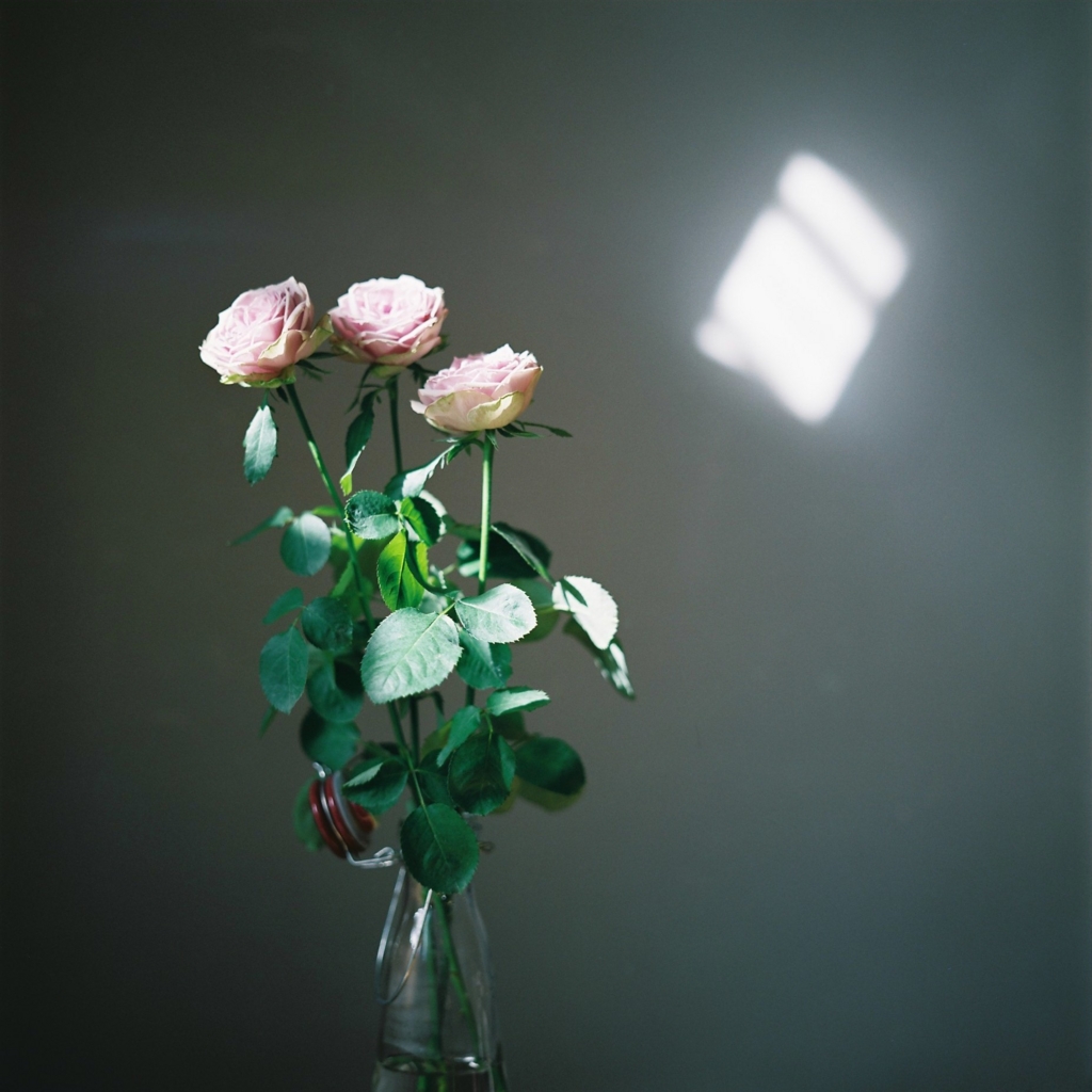 f:id:NR03:20170119212454j:plain